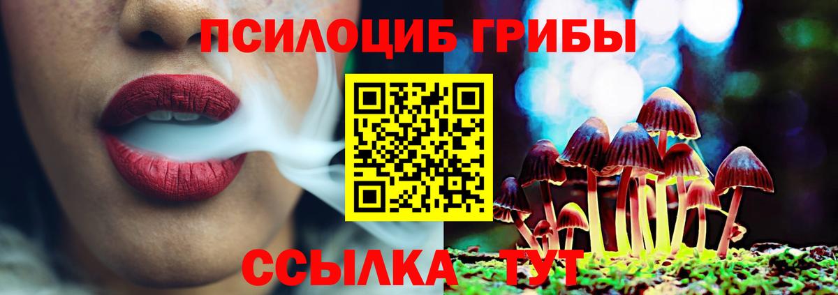 Коряжма  купить наркотик  Вход с VPN  Псилоцибиновые грибы Psilocybe 