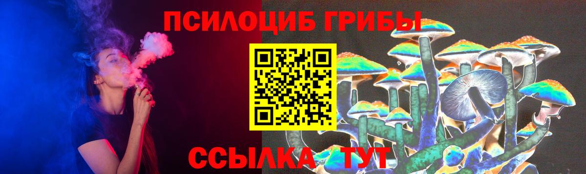 Псилоцибиновые грибы GOLDEN TEACHER Коряжма